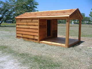 building a large dog house